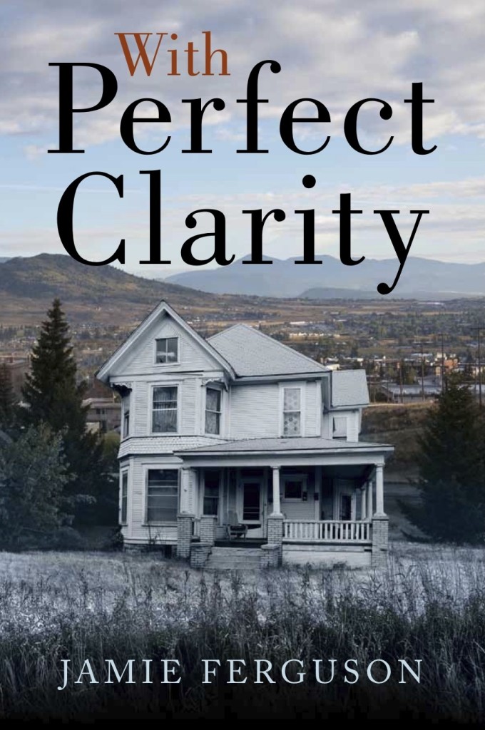 Cover of With Perfect Clarity by Jamie Ferguson
