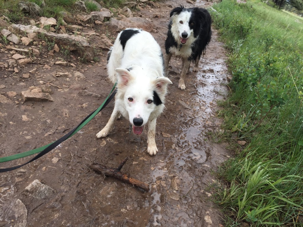 Playing stick in the mud.
