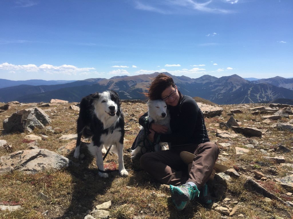 Jasper and Rosie did their biggest hike ever! Nine miles to the summit of Gold Hill in New Mexico - 12,711 feet.