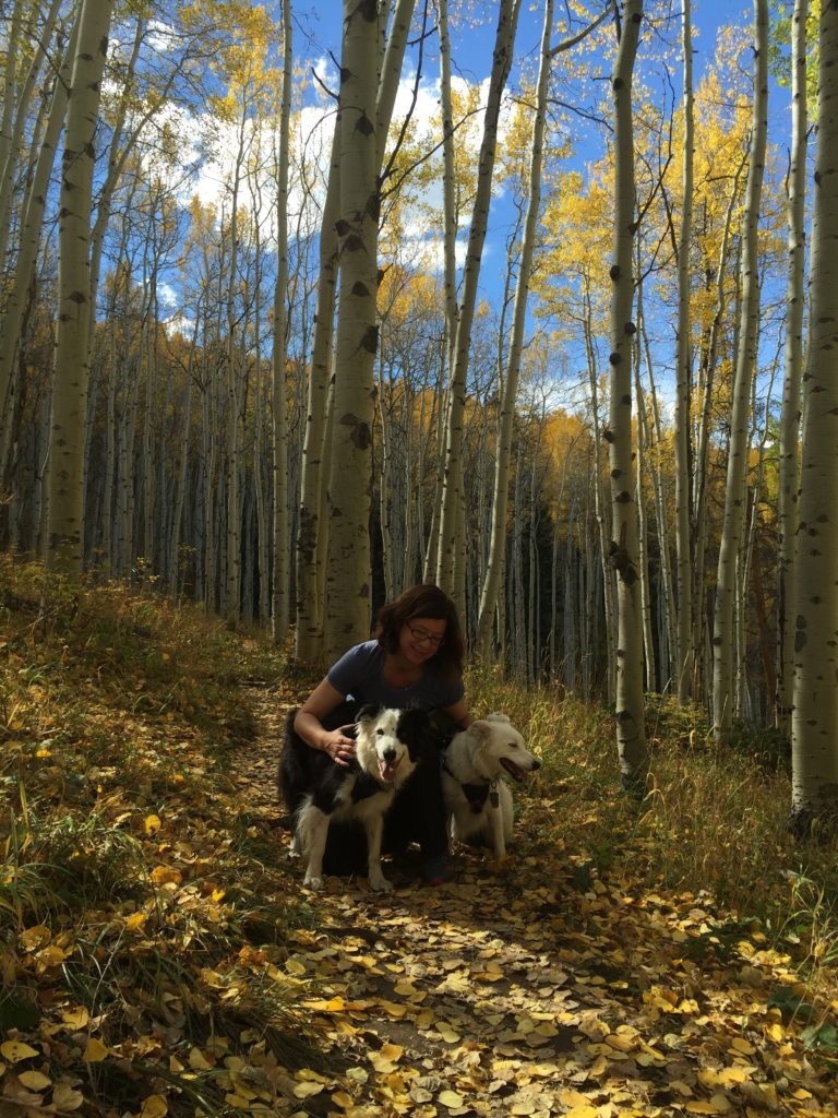 Hiking through the aspens with Jasper and Rosie.