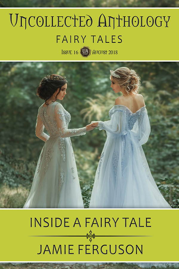 Cover of Inside a Fairy Tale by Jamie Ferguson