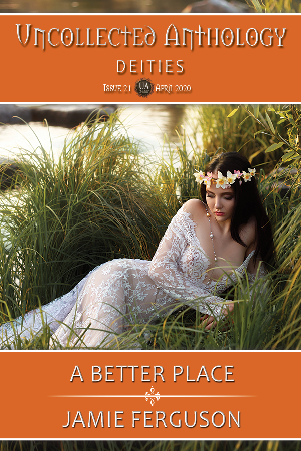 Cover of A Better Place by Jamie Ferguson