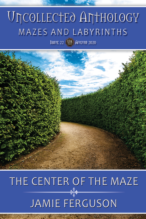 Cover of The Center of the Maze by Jamie Ferguson